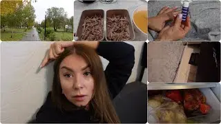 VLOG! SUBMITTING DOCUMENTS / THINGS FROM A MORDER / JELLY FOOD / REFRIGERATOR ON A DIET / MIRACLE...