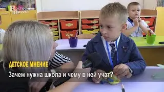 Детское мнение: зачем нужна школа и чему в ней учат?