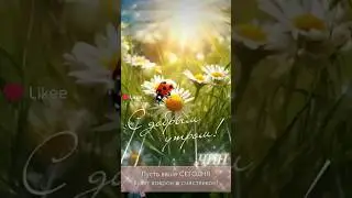 С добрым утром! Чудесного дня!