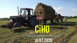 Як ми збираємо сіно [10.07.2020]