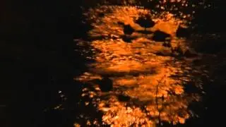 Simple Gospel, Geese, City River, a Drone, and Me Singing