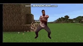 Minecraft MEME - Funny Minecraft video