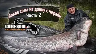 Рыбалка на сома на донку с берега на червя