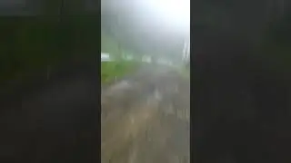 KARAHA BODAS BERKABUT TEBAL