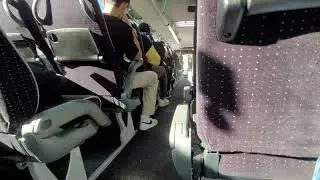 Man Lion's Coach L