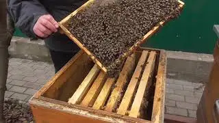 Семья не перешла во второй корпус нужна помощь