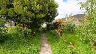We Found A Garden Jungle On Facebook...The Cleanup Was INSANE!