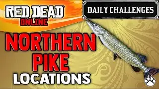 how to easily catch Northern pike daily challenge in RDR2 online