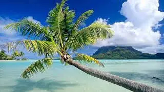 Beautiful  Chill Music 2023