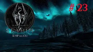 TES V Skyrim SLMP # 23 Filling the museum, heading to Solitude