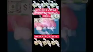 Стоматология ... стоматолог и я ... 