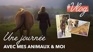 UNE JOURNÉE DANS MA PEAU AVEC MES ANIMAUX : Clicker Training, moments avec mon chien puis mon cheval