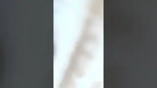 Курта демисезонная