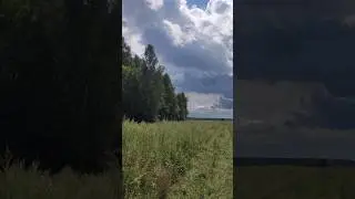 Русь моя неоглядная #лесьяр #невидь #родина #отечество #русь