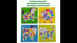 4306 аппликация