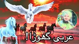 Maulana Peer Ajmal Raza|| beautiful Bayan Arabic Ghoda||#2025 #islamicfigure #viralvideo
