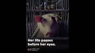 Her life passes before her eyes. 💔 Take action this Mother's Day!