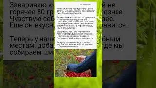 Чай из шиповника.. полезно знать