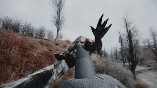 How to 1v1 a Chimera - STALKER Memes #2