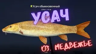 Русская рыбалка 4 (РР4) о. Медвежье УСАЧ