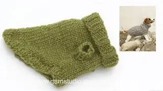 How to knit the dog coat in DROPS 102-43
