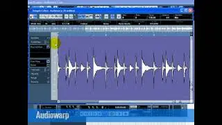 Working With Audio Loops In Cubase | Kapurthala Recording Studio