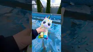 Found a unicorn in the pool