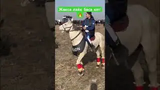 Мыкты ат экен!