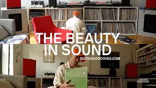 Cole Evelev | The Beauty in Sound