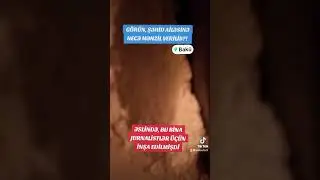 Görün, şəhid ailəsinə necə mənzil verilib?