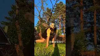 #therian