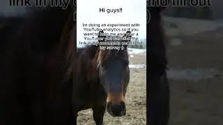 Calling all fellow YouTubers!! You yes you ik you are reading this! Wanna help with an experiment??
