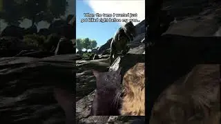 When The Tame I Wanted Just Got Killed... #shorts
