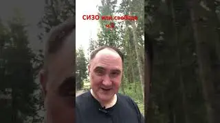 СИЗО или свобода 2 #юристонлайн #адвокатпоуголовнымделам #признаниевины #адвокаттатаринов