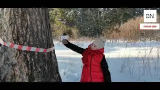 Эко-репортаж
