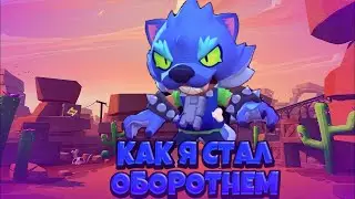Итоги на Леона!!!