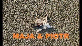 Maja & Piotr |  Teledysk Ślubny | Borek | 25.05.2024