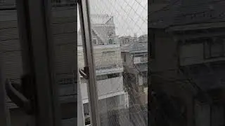 Гроза в Токио 