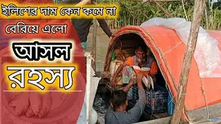ইলিশের দাম কমে না কেন জানা গেল গোপন রহস্য || ইলিশ সিন্ডিকেট