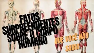 Fatos Surpreendentes Sobre o Corpo Humano que Você Não Sabia