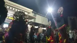 SINGO BARONG!!SATRYO ING DJOJO!!LIVE BALAI DESA TANJUNGTANI