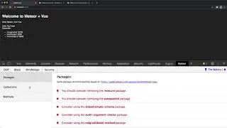 13: [Meteor + Vue] Meteor Devtools