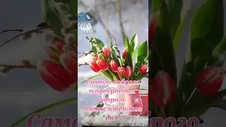 С добрым весенним утром и благословенным днём!