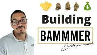 Building A CBD Company.