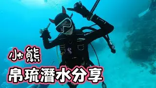 【小熊】潛水TimE - 帛琉潛水分享