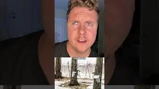 Almost a Maple Syrup disaster in Quebec… #maplesyrup #quebec #maple #heist #haha #syrup #pancakes