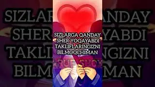@MARUF SHOYIR FIKIRINGIZ MEN UCHUN MUHIM