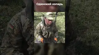 Поселушка гдет о рядом! Коп 2023! лучшие моменты сезона!  