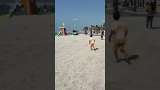 Sid and the pigeon chase on beach #sid #superhappy #pigeon #beach #fun #pleasesubscribe #support