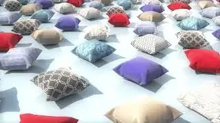 Cloth